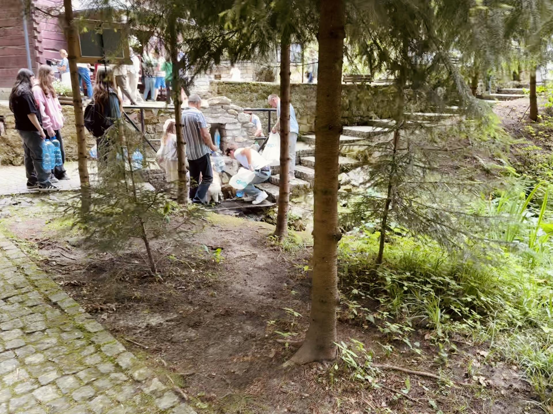 Miniatura galerii artykułu 5